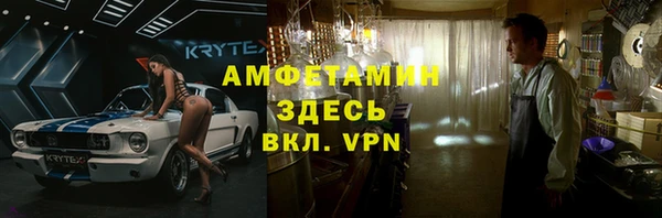 крисы Гвардейск