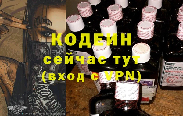дурь Гатчина
