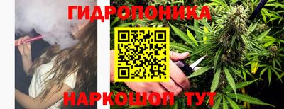 a pvp Волгодонск