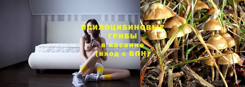 Псилоцибиновые грибы MAGIC MUSHROOMS  Серов 