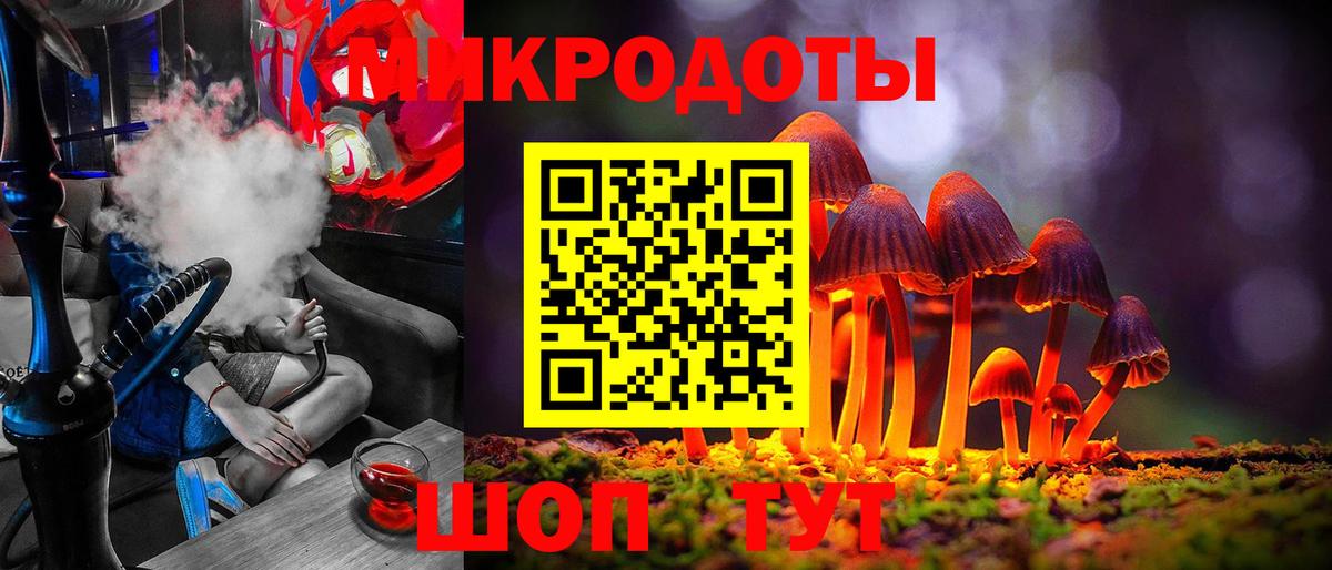 Псилоцибиновые грибы Cubensis  Вход с VPN  Серов  Псилоцибиновые грибы Cubensis 