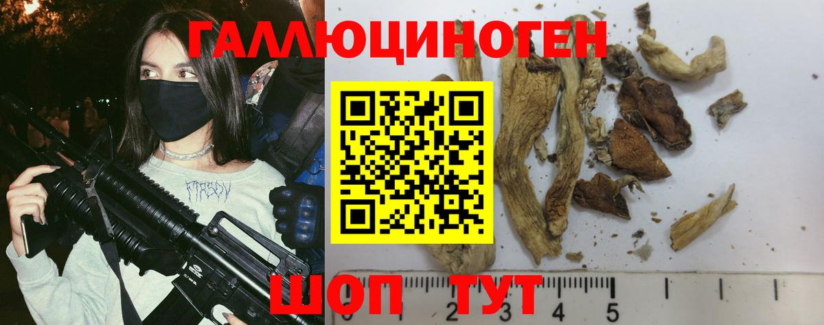 Галлюциногенные грибы GOLDEN TEACHER Серов